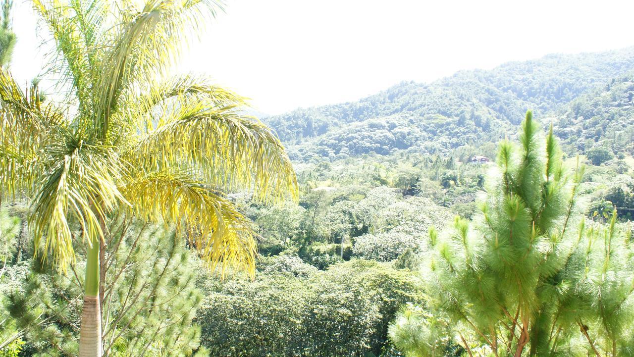 Hotel Rancho La Aurora ハラバコア エクステリア 写真